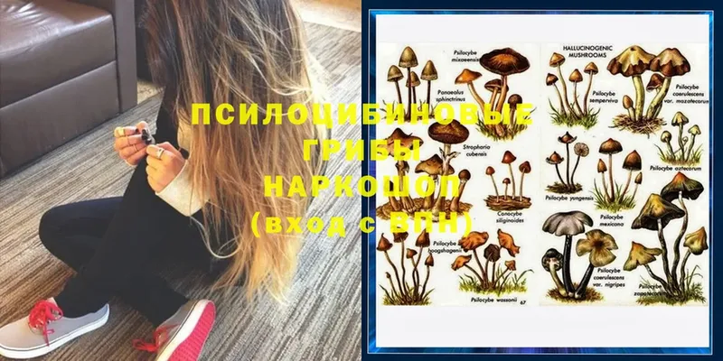 Галлюциногенные грибы Cubensis  Алдан 